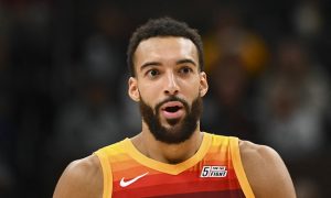 rudy gobert consistente