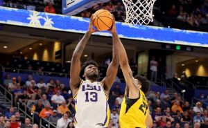 Prospecto Draft Tari Eason