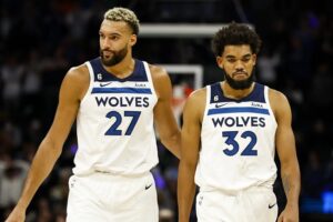 karl-anthony towns rudy gobert