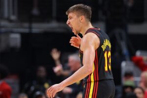 bogdan bogdanovic técnico hawks