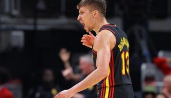 bogdan bogdanovic técnico hawks