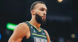 Shaquille O'Neal Rudy Gobert