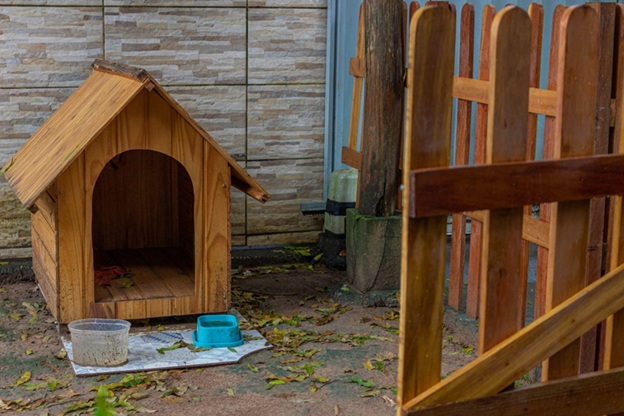 Série de caça-níqueis The Dog House: segredos para ganhar e aproveitar o jogo