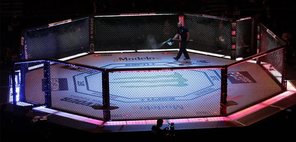 como apostar ufc