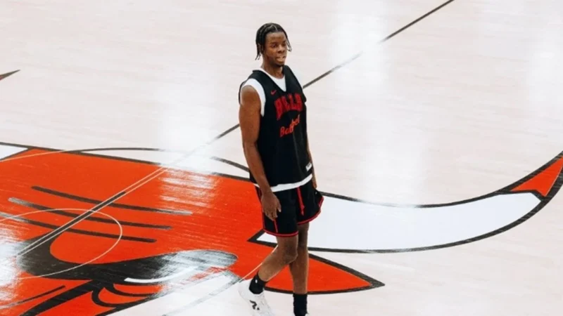 Caleb Wilson Bulls NBA